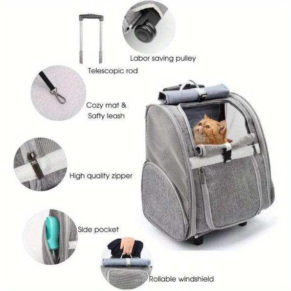 00789d670a384dbcb97ff563d2084fb9-goods